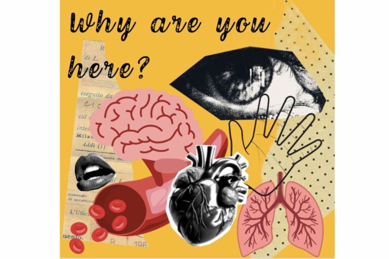 What’s brought you here?