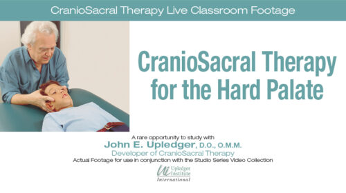 Online Video - CST for the Hard Palate
